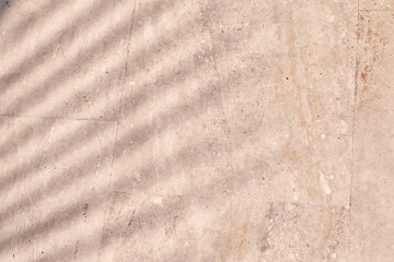 Tropical tenderness palms shades texture on beige natural stone wall. Minimal trendy abstract concrete texture background for cosmetic product presentation