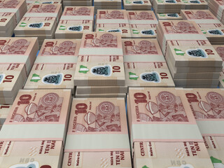 Nigerian money. Nigerian naira banknotes. 10 NGN polymer bills.
