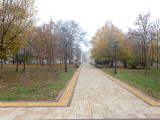 Autumn in the city,a cloudy day, fog,a sleepy state of nature, idyll and creative inspiration for lovers of nature and art.
