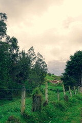alambre propiedad llanura pasto colina andes ecuador tarqui azuay 