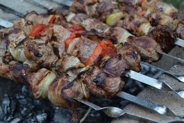meat on the grill