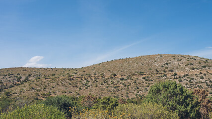 Fototapeta na wymiar Scenic landscape of mountainous arid area. Hot sunny summer day. Southern nature. Dry grass. Green trees and bushes on hill.