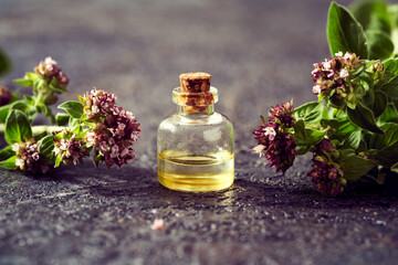 Obraz na płótnie Canvas Essential oil bottle with fresh oregano flowers on dark background