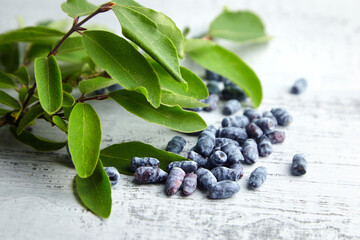 Honeyberry or haskap berries with fresh green leaves on grey wooden background
