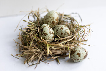 Naklejka na ściany i meble quail eggs in a nest