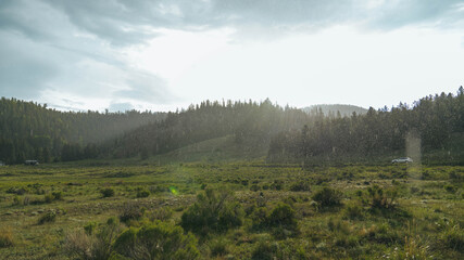 Fototapeta na wymiar Carson National Forest , New Mexico