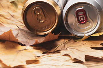 two cans of beer on the autumn foliage