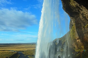 Fototapete bei efototapeten.de bestellen   