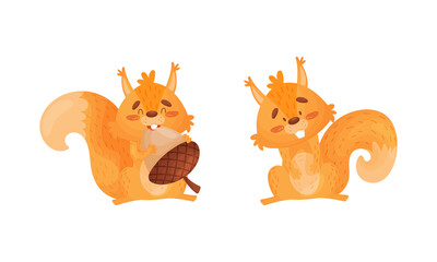 Fluffy Squirrel Character Gnawing Acorn Nut Vector Set