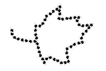 Confetti of multicolored leaves isolated on white background.Falling confetti from minimalistic maple leaves. Abstract leaf for label, card, poster, cover, leaflet, textile design