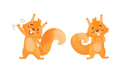 Fluffy Squirrel Character Waving Paw and Smiling Vector Set