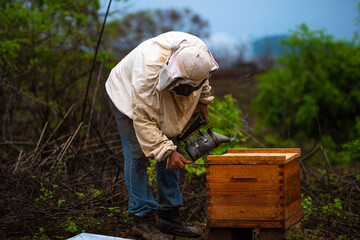 Apicultura Mexicana. Latin man doing beekeeping. Man working with bees. Honey collection.