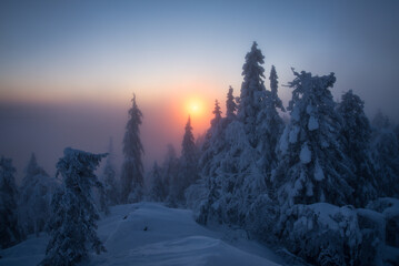 Foggy sunrise in finnish forest Koli Finland