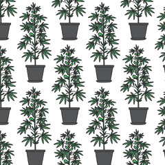 marijuana plant doodle seamless pattern, vector color line illustration