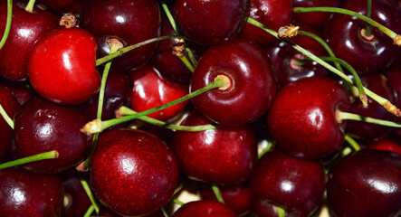 ripe red cherry. delicious sweet berry. background for the design.