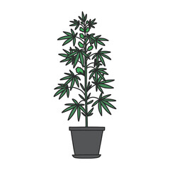marijuana plant doodle icon, vector color line illustration