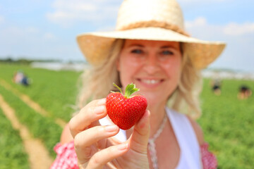 Woman harvesting strawberries showing a heart shaped strawberry