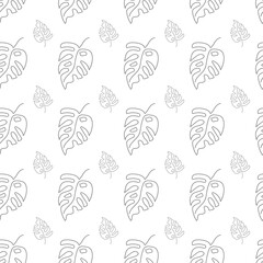 Seamless natural pattern of monstera leaves in the style of lines on a white background
