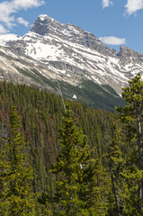 Mountain Scenery from the Icefields Parkway