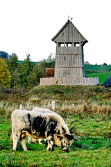 Turmh&uuml;gelburg L&uuml;tjenburg - Mittelalterliche Burg