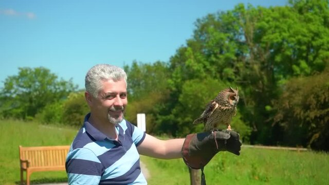 Man holding on hand with glove long eared owl bird of prey which slowly fly away