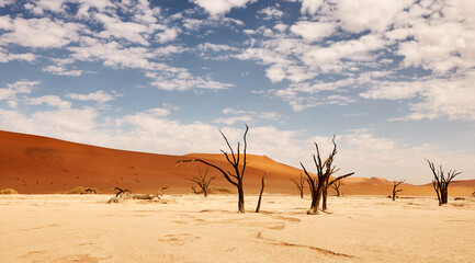 Fototapeta na wymiar Namibian desert landscapeat deadvlei