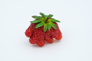 strangely shaped strawberries on a white background
