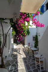 Paros, Greece. Traditional whitewashed dotted alley in old city, Cyclades Greek Islands.