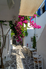 Fototapeta na wymiar Paros, Greece. Traditional whitewashed dotted alley in old city, Cyclades Greek Islands.