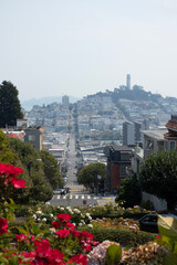 view of the city from the hill