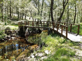 Pequeño armazón de madera sobre el río Forxa en Guitiriz, Galicia