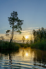 Dawn with beautiful sun, trees and water