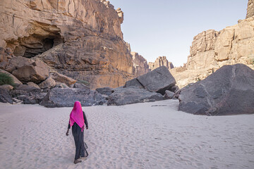 Panorama inside canyon aka Guelta d'Archei in East Ennedi, Chad, Africa