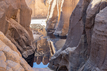 Camels in Guelta d'Archei, Chad, Sahara Desert, Africa 