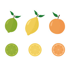 Set of citrus fruits: orange, lemon, lime. Vector images of fruit and slices