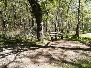 Pequeña área de descanso en las inmediaciones del río Forxa en Guitiriz, Galicia