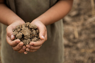 Soil in children's hands for planting trees. Selective focus.