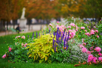 Beautiful fall day in Tuileries garden, Paris - obrazy, fototapety, plakaty