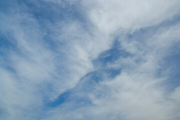 Obraz premium dolphins in the sky