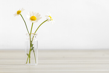 Medicinal daisies in a glass bottle on a gray wooden background, side view