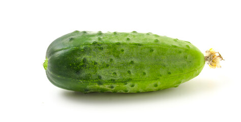 Fresh young cucumber isolated on white background.