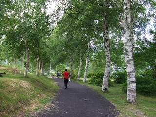 日本の長野県・白樺湖の風景