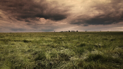 Meadows and landscapes with dramatic sky - nature photography