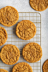 Chewy and thin snickerdoodle or molasses cookies