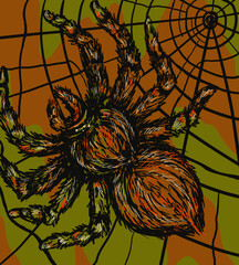 arachnophobia: a spider on the web