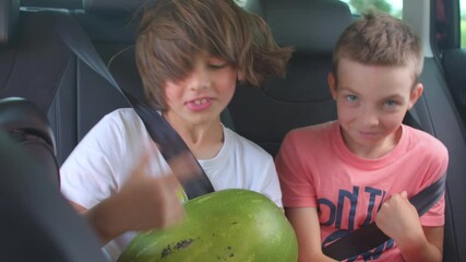 Happy boys ride in the car in the back seat wearing seat belts. Start of summer vacation and travel. A cheerful mood of freedom and a desire to sing to songs from the autoradio. Preteen kids. 