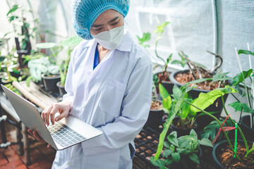 biology scientist working to research a growth plant in agriculture greenhouse, nature organic...