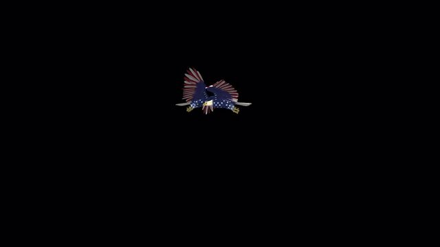 Two Bald Eagles - USA Flag  - Flying Around - Transparent Loop - 4K