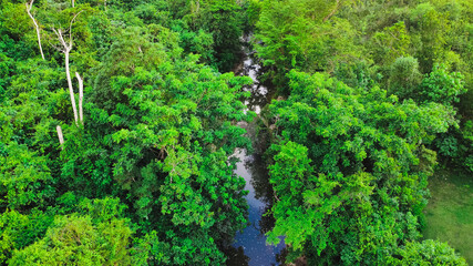 Fototapeta na wymiar drone shot of a river and trees