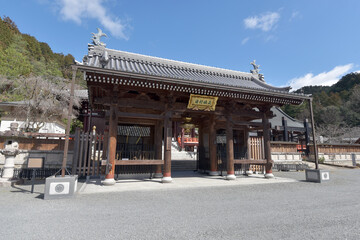 Obraz premium 本圀寺 仁王門 京都市山科区
